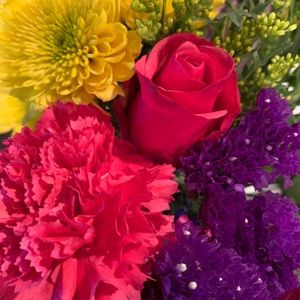 Meet your Posher, Heidi